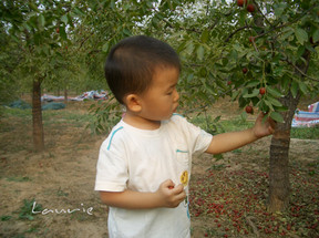 2006年10月3日 泊头 Large